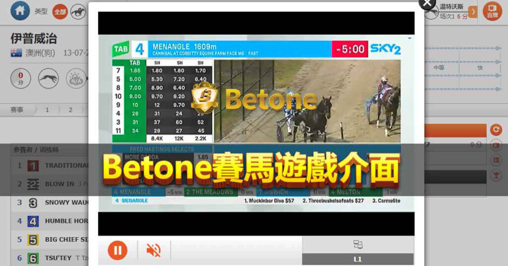 Betone 賽馬遊戲介面